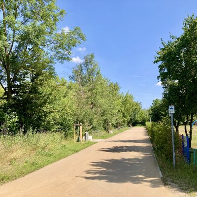 Bild vergrößern: Saaleradweg entlang Spielplatz Grne Lunge