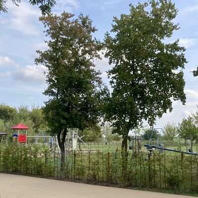 Bild vergrößern: Grne Lunge Spielplatz mit Saaleradweg