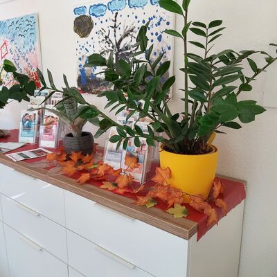 Bild vergrößern: NST_Herbst_1