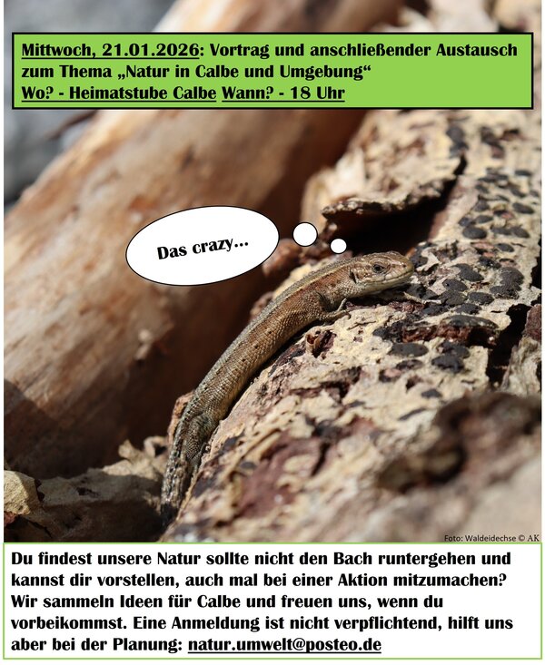 Bild vergr&ouml;&szlig;ern: Heimatstube