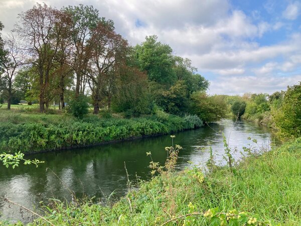 Bild vergr&ouml;&szlig;ern: 123