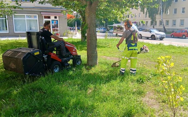 Bild vergr&ouml;&szlig;ern: M�harbeiten